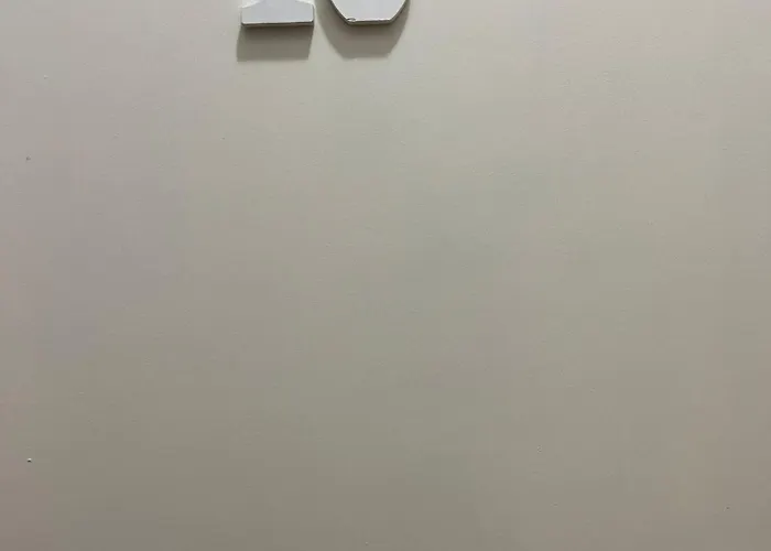 Venice Arian 02 Mestre